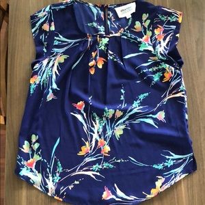 Stitch Fix by Alice Blue Cap Sleeve Blouse